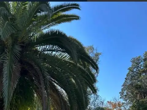 Quinta en Venta de 7 dormitorios