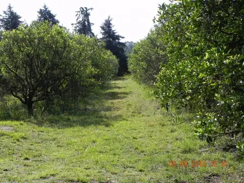 Terreno en Venta 20  mts Frente