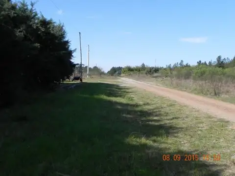 HERMOSO LOTE DE TERRENO EN FEDERACION ENTRE RIOS
