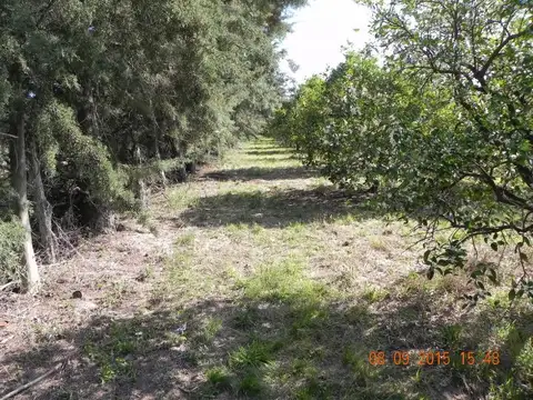 Terreno en Venta en Federacion, USD 20.000