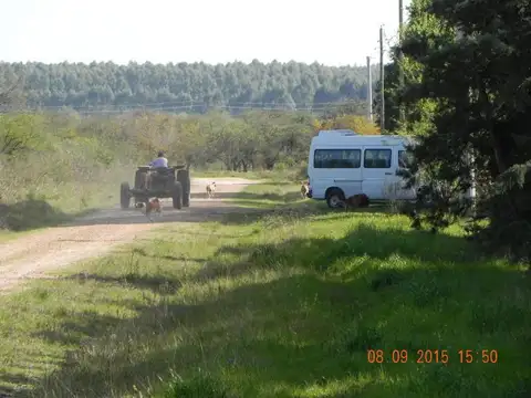 CHACRA 197