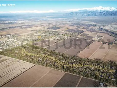 Terreno en Venta en Vistalba, USD 45.000
