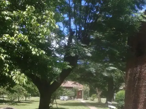 HOSTERIA CABALLITO BLANCO ESCOBAR