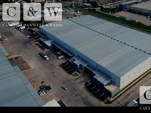 Antonio Cervetti 1300