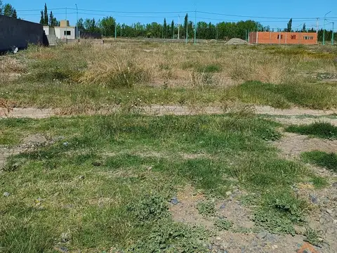 Terreno en Venta en Cinco Saltos, USD 7.500