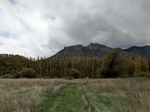Ruta 40