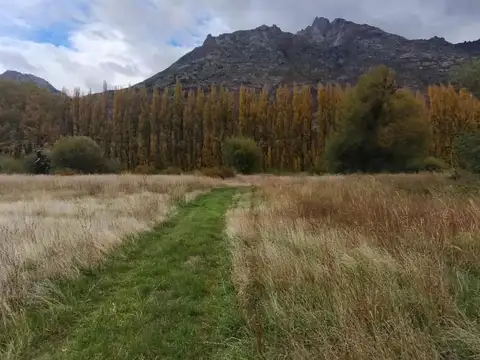 Ruta 40