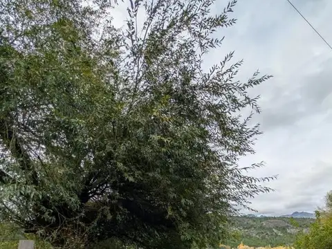 Terreno en Venta en El Hoyo, USD 125.000