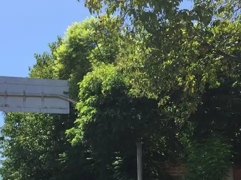 Terreno en Venta en Tigre Centro, USD 297.000