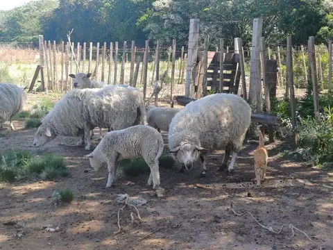 VENTA CASA 4D CON 2HA EL QUEBRACHAL