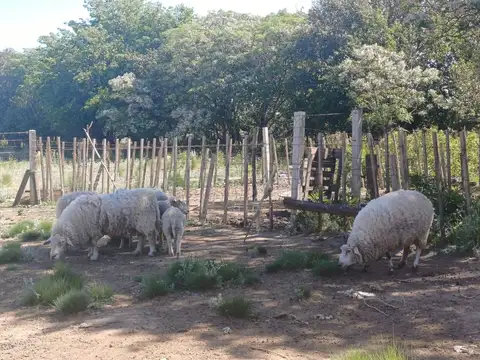 Casa en Venta 51 años