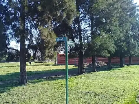 Venta - LOTES 300/400/500 m2 - Trujui, Moreno