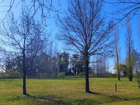 Terreno en Venta de 1260,0 m2