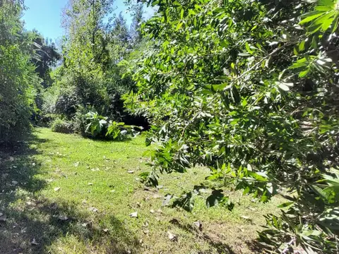 Terreno en Venta de 67042,0 m2