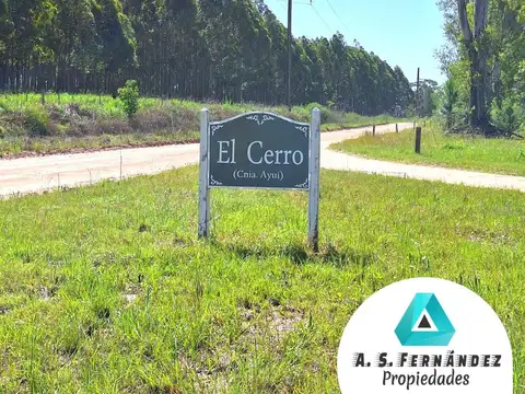 Colonia AyuÍ