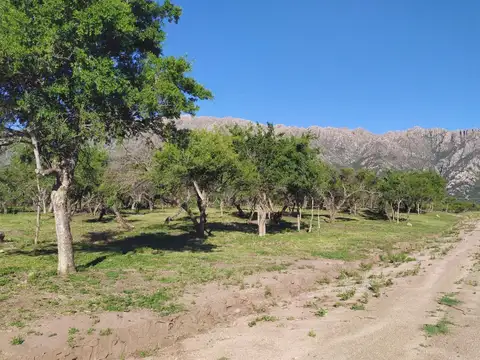 Lotes de 880 metros Cortaderas San Luis Financia en Pesos