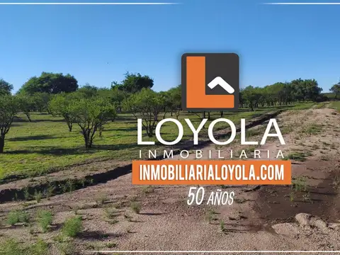  Lotes de 880 metros Cortaderas San Luis Financia en Pesos