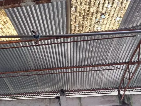 Campo - Coronel Brandsen