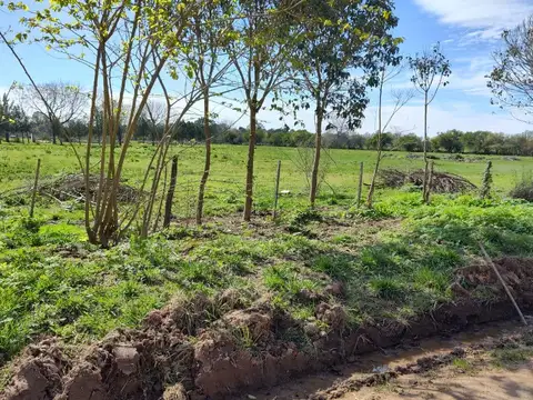 Terreno en Venta de 610,0 m2
