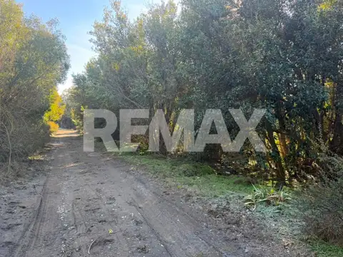 Terreno en Venta en Meliquina, USD 207.990