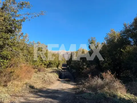 Terreno en Venta de 7982,0 m2