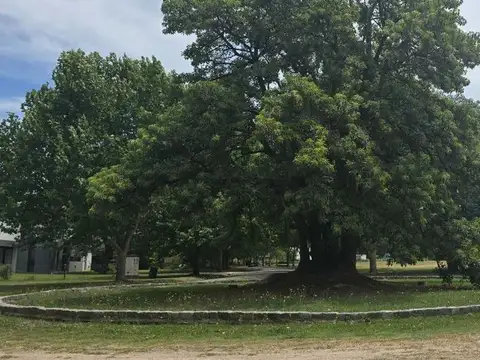 Terreno en Venta de 1600,0 m2