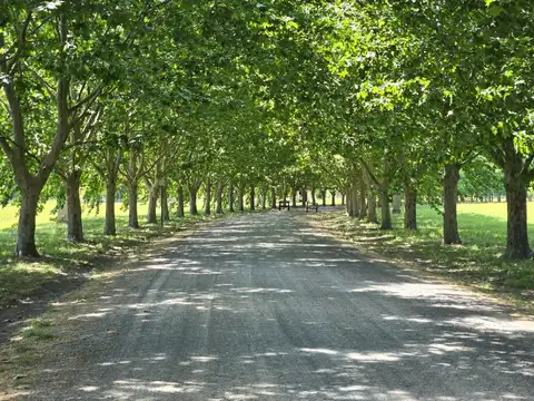 Terreno en Venta de 1600,0 m2