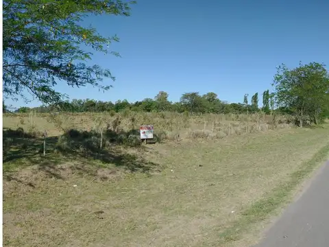 Campo en Venta Agrícola