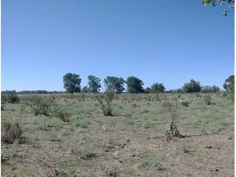 Fracciones de campos, Plomer (Bs.As). L30014