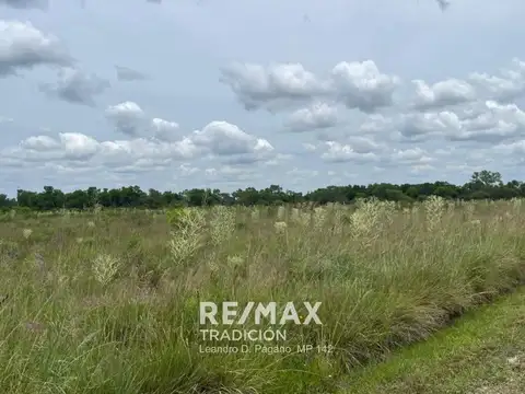 Venta 10 Hectáreas  a 15 minutos de Resistencia