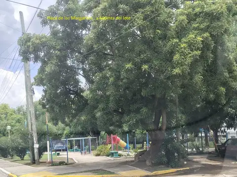 Terreno en Venta de 339,0 m2