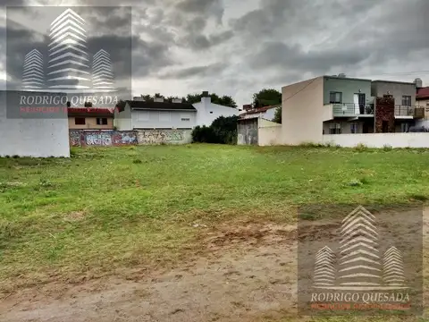 Mendoza al 100