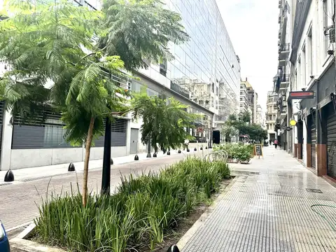 Departamento en Microcentro