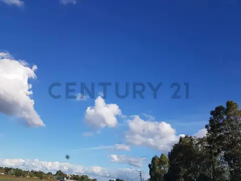 CAMPO EN VENTA  RUTA 2 KM 58