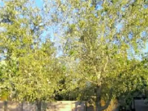 Lote central Portal Pilar