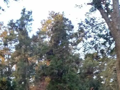 Terreno en Venta en Pilar Centro, USD 65