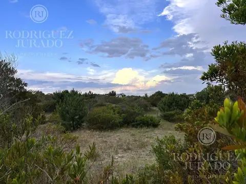 Costa Esmeralda - Senderos 100