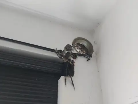 Pasaje Nueva Zelandia 4800