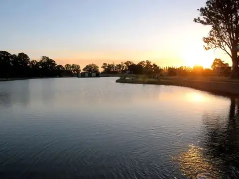 Terreno en Venta de 981,0 m2