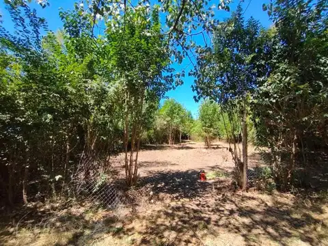Terreno en Venta 20  mts Frente