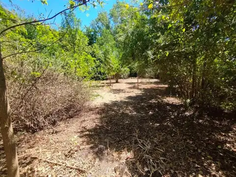 Terreno en Venta en Pavon, USD 35.000