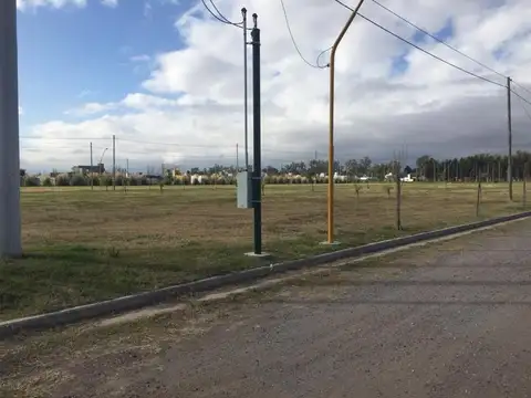 Terrenos en Palmares 