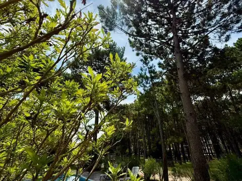 Departamento en Alquiler Temporal 5 años