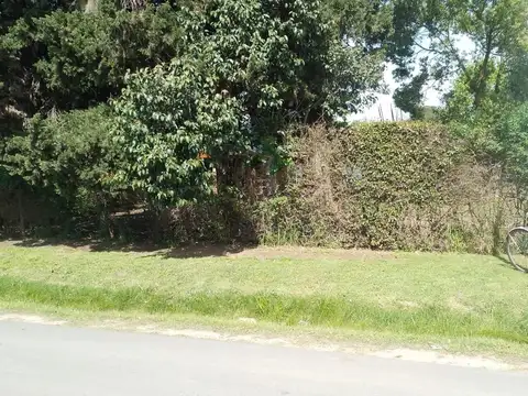 Terreno en Venta, FOT 1