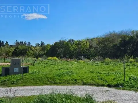 Terreno en Venta 30  mts Fondo