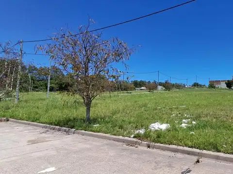 Loteo Altos Del Paracao ~ Etapa 3