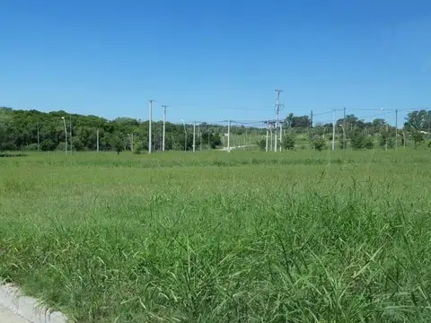 Loteo Altos Del Paracao ~ Etapa 3