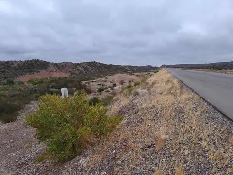 TERRENO EN VARIANTE PALMIRA RUTA NACIONAL 7,(  LUJAN DE CUYO, MENDOZA).