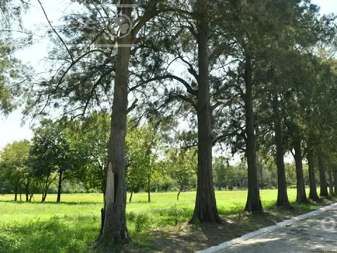 Lote en Venta, Barrio residencial Los Cedros El Pato