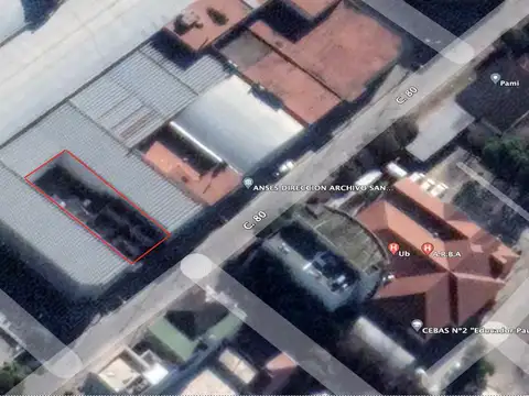 CASTEX 4481